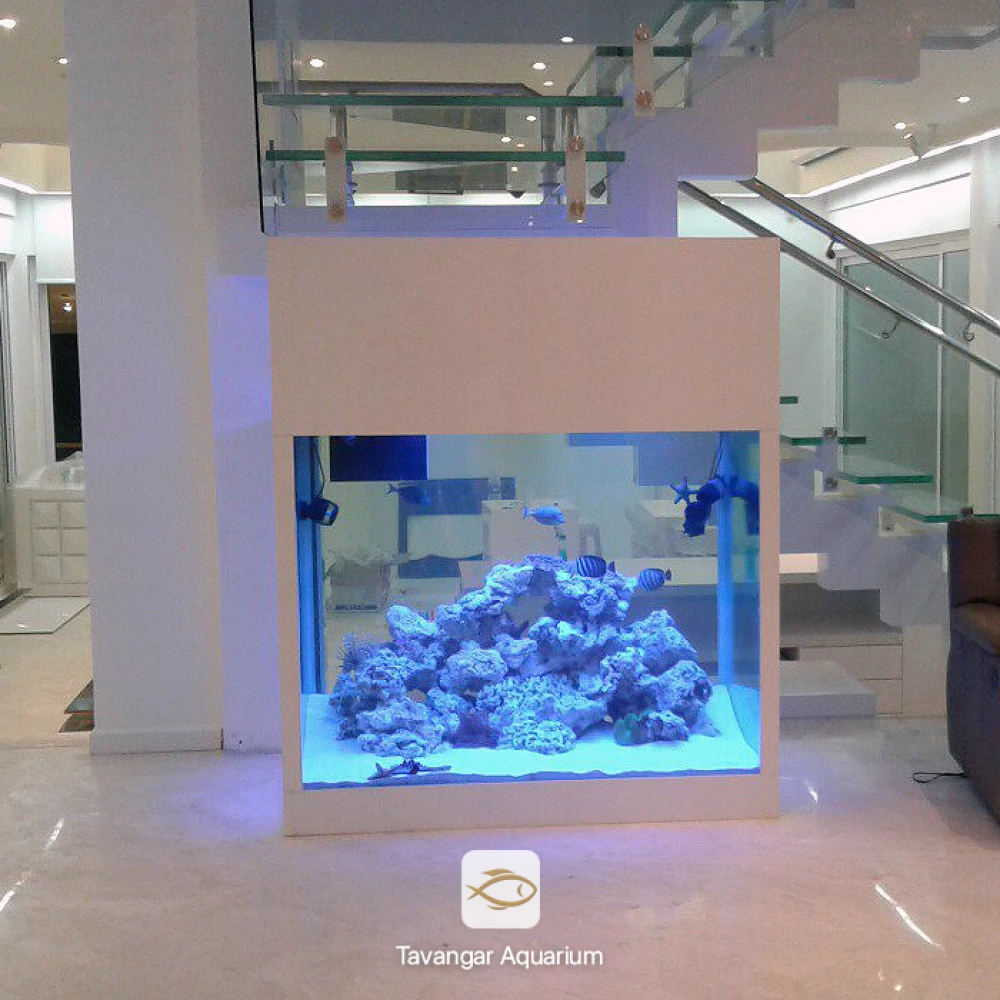 حوض أسماك مياه مالحة كود 1