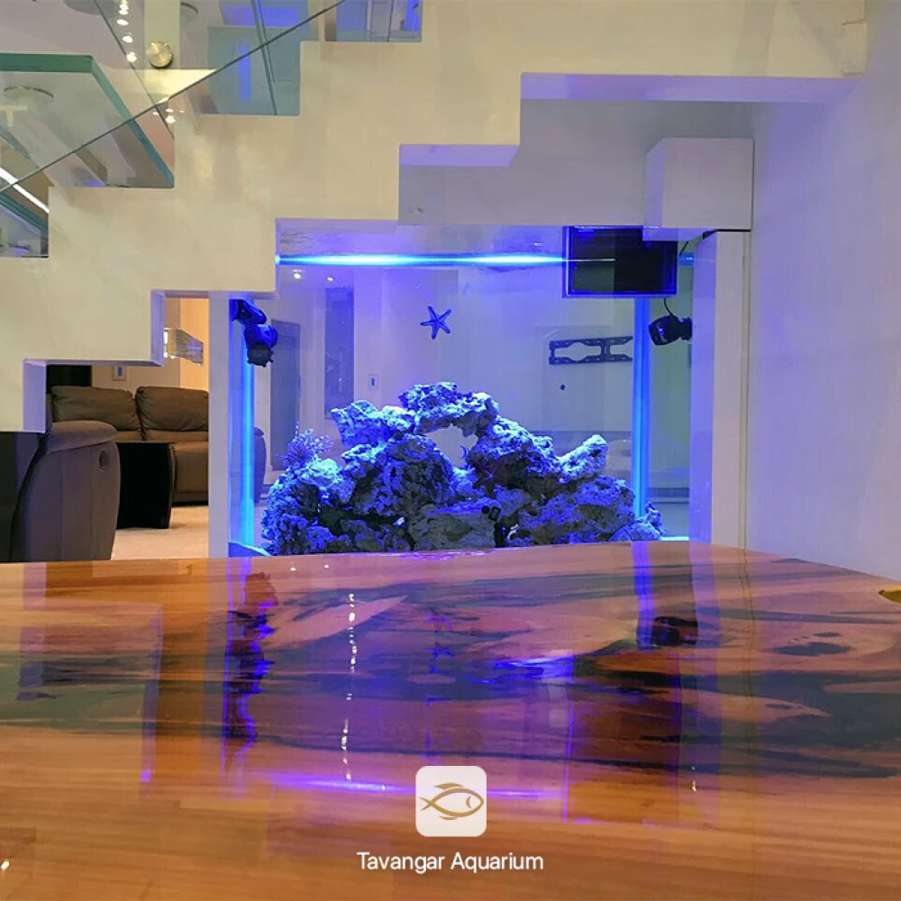 حوض أسماك مياه مالحة كود 1