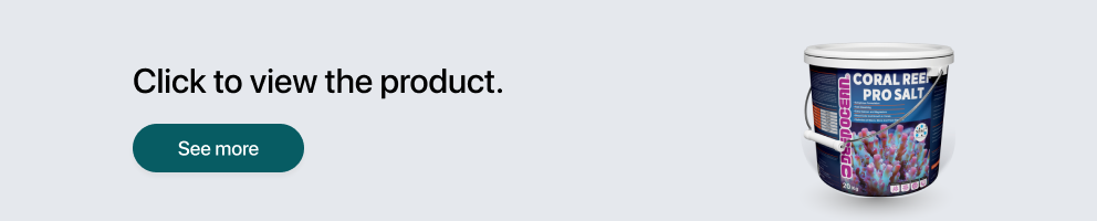 At Tavangar Aquarium , we focus on quality