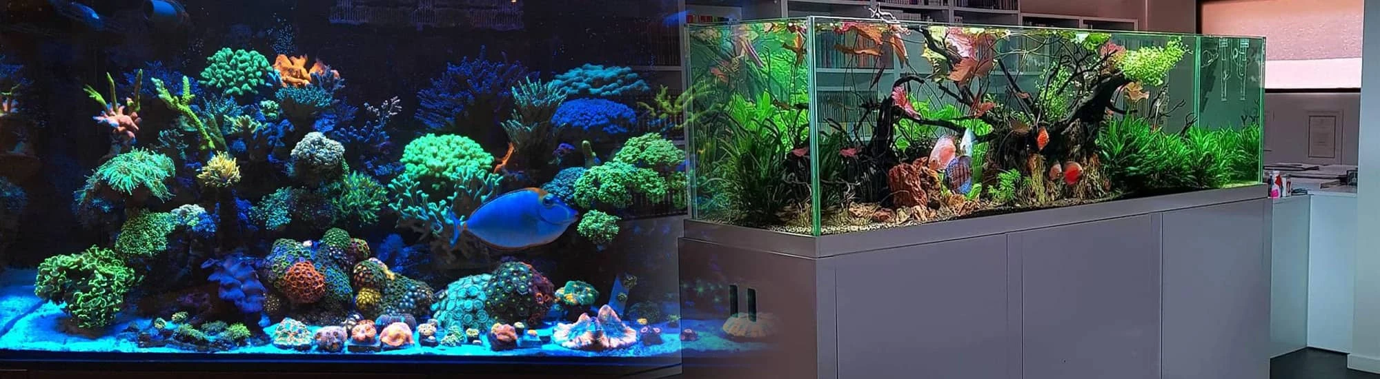 At Tavangar Aquarium , we focus on quality